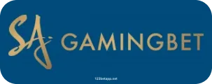 Gaming Bet